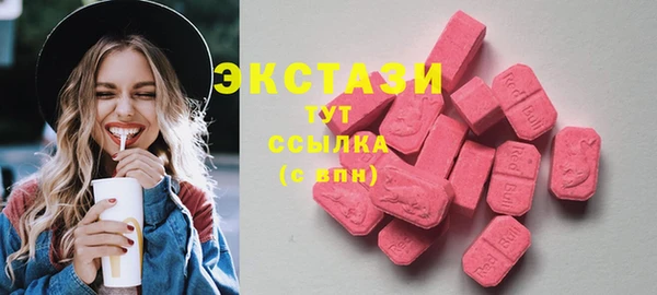 молекула духа Богданович