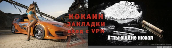 молекула духа Богданович