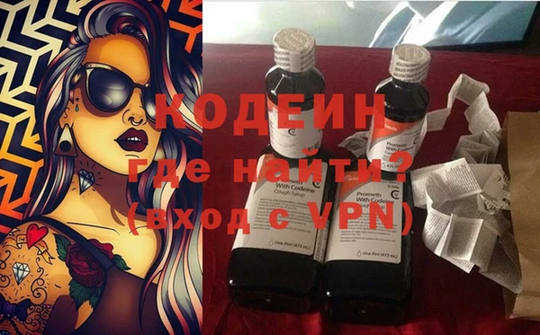 молекула духа Богданович