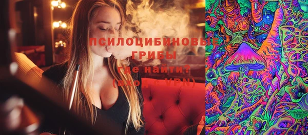 молекула духа Богданович
