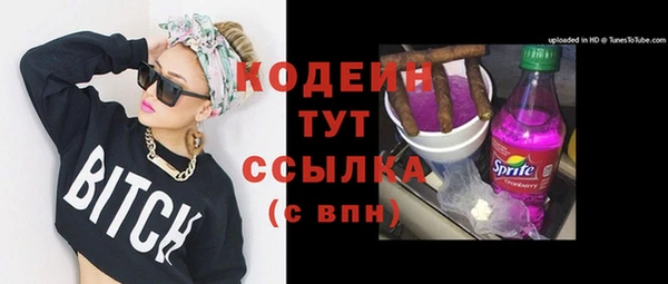 молекула духа Богданович