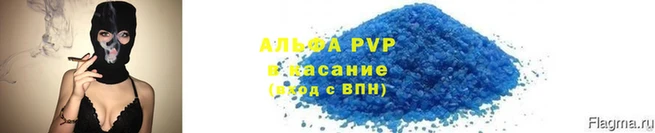молекула духа Богданович