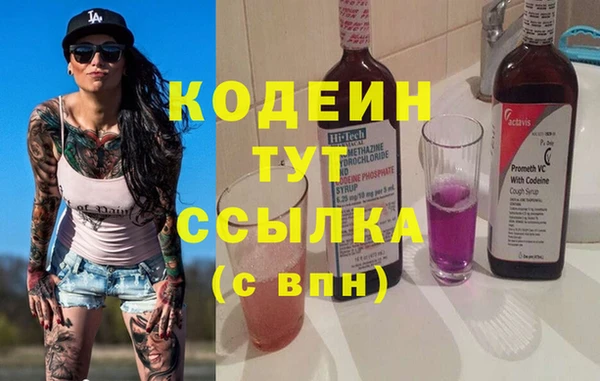 молекула духа Богданович