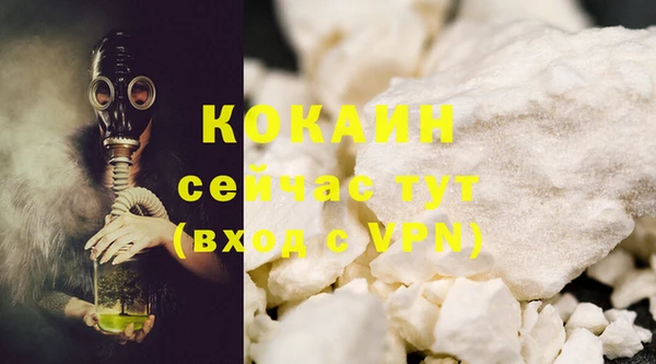 молекула духа Богданович