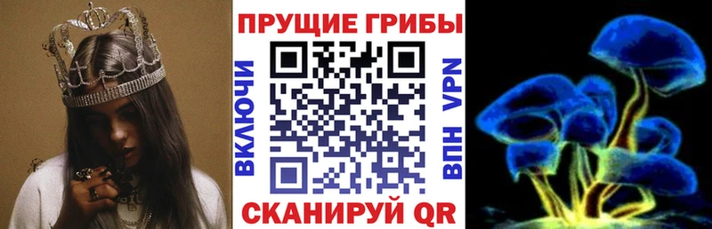 как найти закладки  Кодинск  Псилоцибиновые грибы ЛСД 